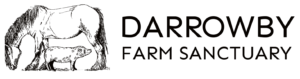 Darrowby Farm Sanctuary
